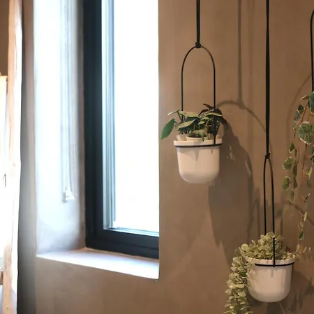 Διαμέρισμα Rowan Beg Retreat Renvyle